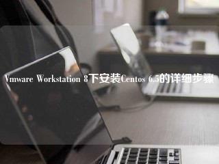 Vmware Workstation 8下安装Centos 6.5的详细步骤