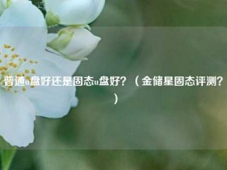 普通u盘好还是固态u盘好？（金储星固态评测？）