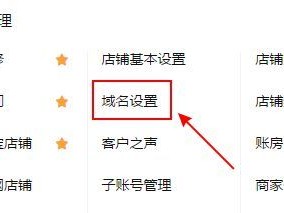 淘宝店铺如何设置二级域名,淘宝二级域名怎么设置
