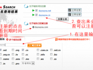 如何查找公司名下的域名？详细步骤及注意事项（怎么查公司名下域名是什么）