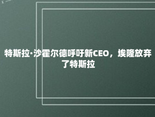 特斯拉·沙霍尔德呼吁新CEO，埃隆放弃了特斯拉