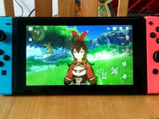 switch 怎么玩?（switch怎么玩原神)