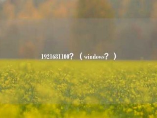 1921681100？（windows？）