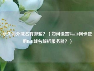 永久海外域名有哪些？（如何设置Win10网卡使用DoH域名解析服务器？）