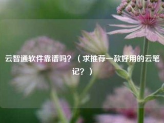 云智通软件靠谱吗？（求推荐一款好用的云笔记？）