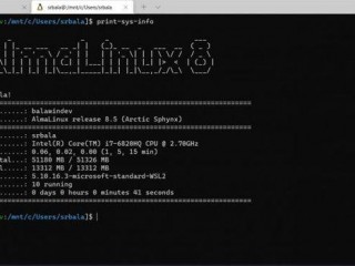 alma linux(AlmaLinux服务器上LAMP环境搭建教程)