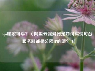 副总统哪家可靠？(阿里云服务器是如何实现每台服务器都是公网IP的呢？)