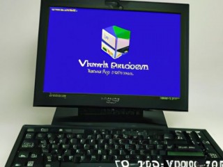 如何为您的业务选择最佳美国 VPS Win2003 主机？