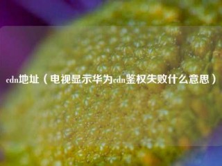 cdn地址（电视显示华为cdn鉴权失败什么意思）