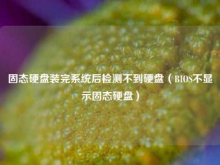 固态硬盘装完系统后检测不到硬盘（BIOS不显示固态硬盘）