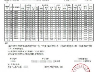 社保缴费明细不完整什么原因？（为什么我的网站本地制作时完好的）