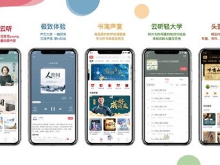 云听app怎么会听一会又停了？（云主机里面又瘫痪了只有一个软件）