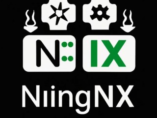 Nginx配置文件：一个项目一个端口，反向代理到本地的实现