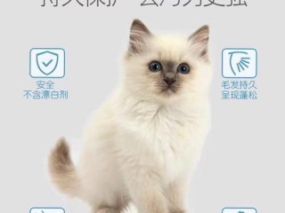 猫用沐浴露牌子哪个好？（杭州艾宠科技有限公司网站,杭州阿里巴巴网络科技有限公司）