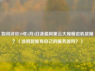 如何评价19年3月3日凌晨阿里云大规模宕机故障？（涂鸦智能有自己的服务器吗？）