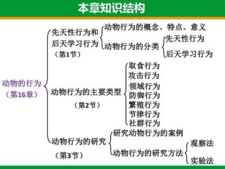 领域名 （领域名词解释动物行为学）