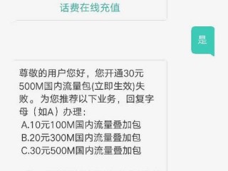 网站流量超标充值后仍打不开