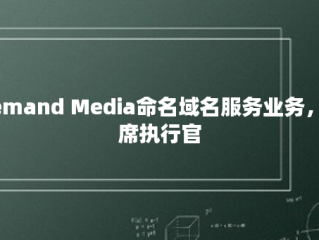 Demand Media命名域名服务业务，首席执行官