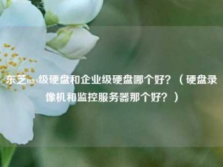 东芝nas级硬盘和企业级硬盘哪个好？（硬盘录像机和监控服务器那个好？）