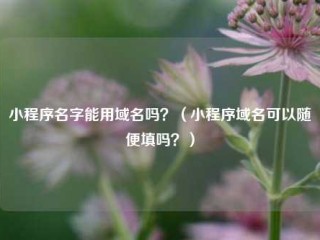 小程序名字能用域名吗？（小程序域名可以随便填吗？）