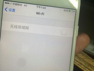 6s4G网络怎么设置，苹果6s4g不能切换为wifi