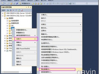 怎么导出sql数据,sql server导出数据