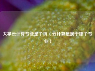 大学云计算专业是个坑（云计算是属于哪个专业）