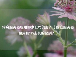 传奇服务器租用哪家公司的好？（独立服务器租用和VPS主机的区别？）