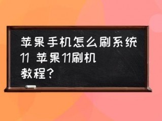 手机刷系统怎么刷?（苹果手机刷系统怎么刷)