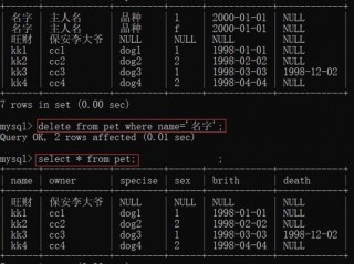 数据库怎么用?（数据库怎么用代码创建表)