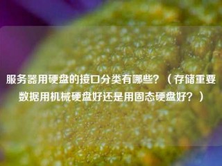 服务器用硬盘的接口分类有哪些？（存储重要数据用机械硬盘好还是用固态硬盘好？）