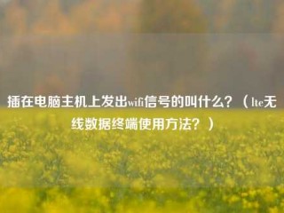 插在电脑主机上发出wifi信号的叫什么？（lte无线数据终端使用方法？）