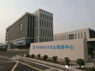 青岛信息网络公司有哪些