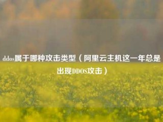 ddos属于哪种攻击类型（阿里云主机这一年总是出现DDOS攻击）