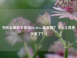 为什么微软不在设OneDrive服务器？（mc上线多少年了？）