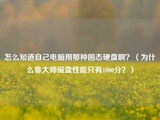 怎么知道自己电脑用那种固态硬盘啊？（为什么鲁大师磁盘性能只有1000分？）