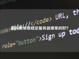 国内新加坡稳定服务器哪家的好？