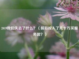 2019我们失去了什么？（前后投入了几十万买服务器？）