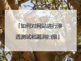 如何对网站进行渗透测试和漏洞扫描？（网站常见漏洞检测方法有哪些）