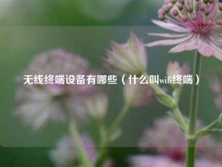 无线终端设备有哪些（什么叫wifi终端）