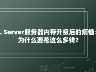 SQL Server服务器内存升级后的烦恼：我为什么要花这么多钱？