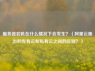 服务器宕机在什么情况下会发生？（阿里云推出的专有云和私有云之间的区别？）