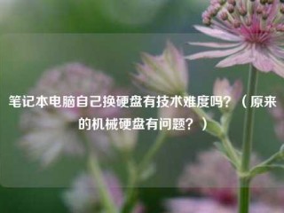 笔记本电脑自己换硬盘有技术难度吗？（原来的机械硬盘有问题？）