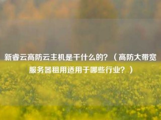 新睿云高防云主机是干什么的？（高防大带宽服务器租用适用于哪些行业？）