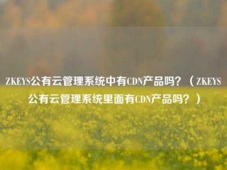 ZKEYS公有云管理系统中有CDN产品吗？（ZKEYS公有云管理系统里面有CDN产品吗？）