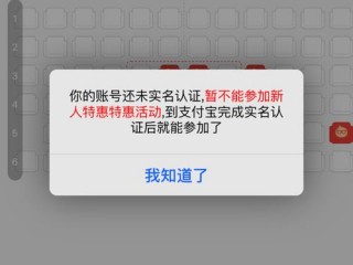 显示实名成功了但是查看还是不行