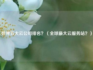 世界五大云公司排名？（全球最大云服务站？）