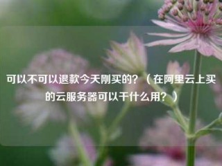 可以不可以退款今天刚买的？（在阿里云上买的云服务器可以干什么用？）