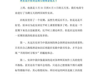 营销型网站建设实训总结,网站建设实训报告2000字总结