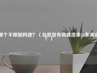 哪个不限制网速？(谷歌宣布将建造第14条海缆？)